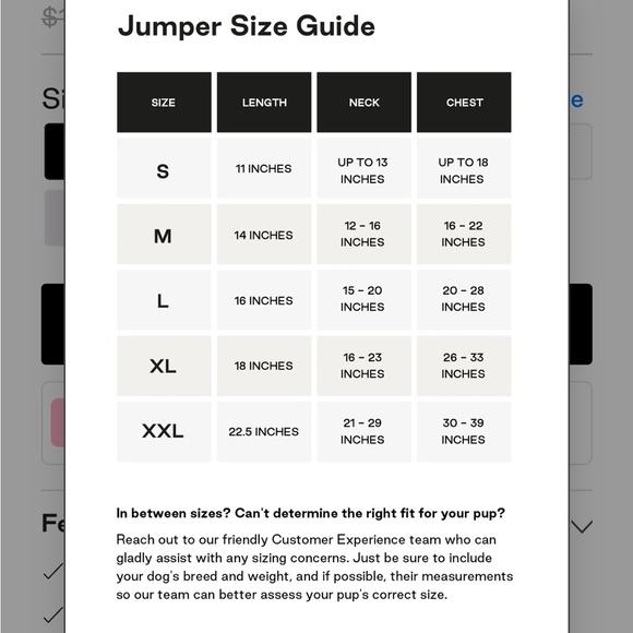 Holt Renfrew X MAXBONE Holiday 2022 Dog Sweater - Picture 3 of 5